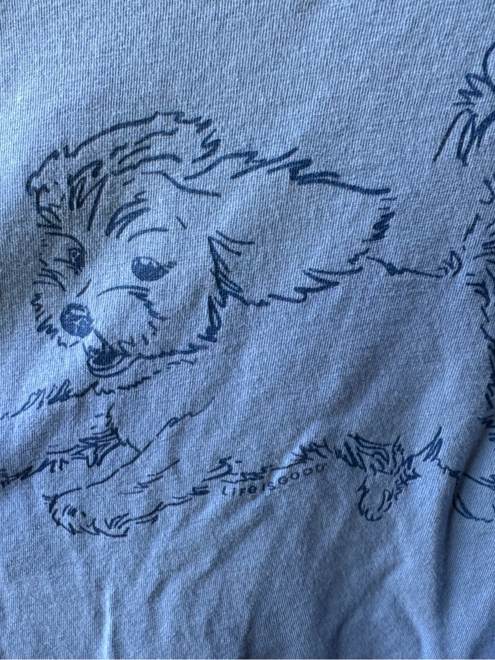 Life Is Good Women’s Flying Doodle Short Sleeve Crusher Tee Blue Size XXL - Picture 4 of 9